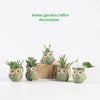 5 pcs / set Cartoon Owl-shaped Flower Pot of Succulent-GenerallyMarket