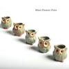 5 pcs / set Cartoon Owl-shaped Flower Pot of Succulent-GenerallyMarket