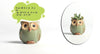 5 pcs / set Cartoon Owl-shaped Flower Pot of Succulent-GenerallyMarket