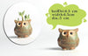 5 pcs / set Cartoon Owl-shaped Flower Pot of Succulent-GenerallyMarket