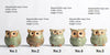 5 pcs / set Cartoon Owl-shaped Flower Pot of Succulent-GenerallyMarket