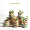 5 pcs / set Cartoon Owl-shaped Flower Pot of Succulent-GenerallyMarket