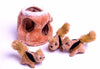Hide A Squirrel - Funny Pet Toys-Pet Toys-GenerallyMarket